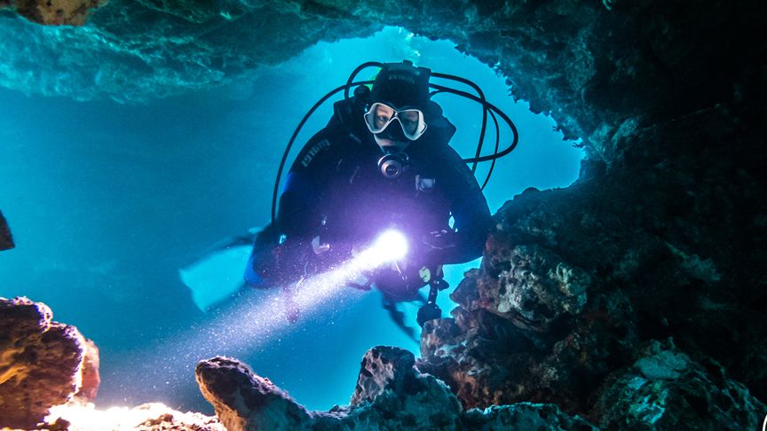 Blue Dive Menorca